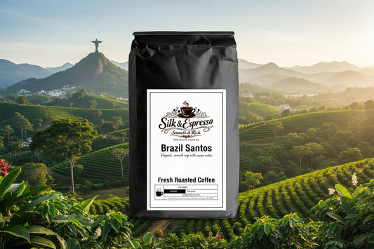 Brazil Santos
